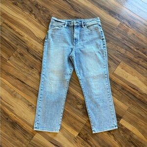 Studio Blue Ally Women’s High Waist/Straight Leg/Crop Jeans